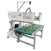 In-Line 4 Axis Automatic Dispenser Robot/Glue Dispensing Machine